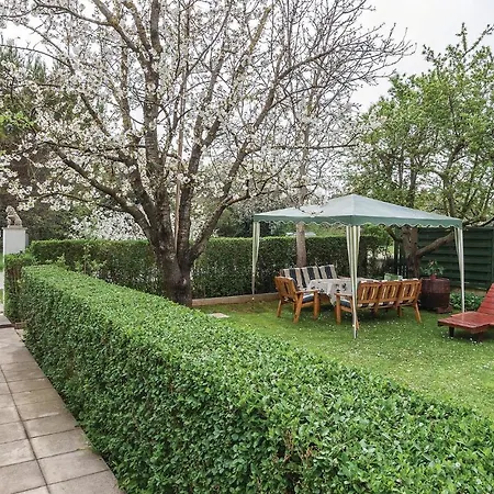 Beautiful In With Wifi